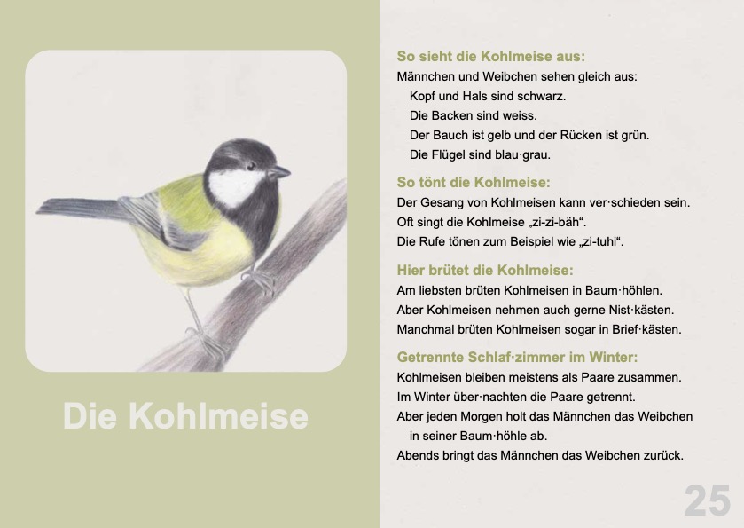 Vögel am Futterhaus - ein Buch zum Bestimmen von Vögeln in leichter Sprache
